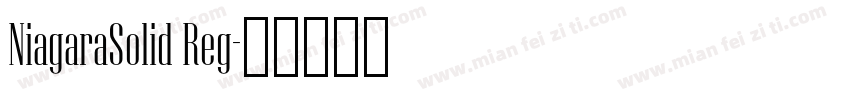 NiagaraSolid Reg字体转换